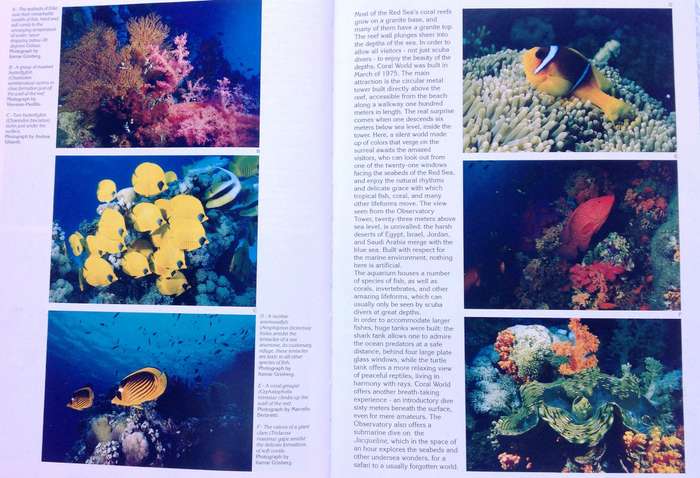Red Sea Diving Guide - Andrea Ghisotti & Alessandro Carletti & Hanan Golombek