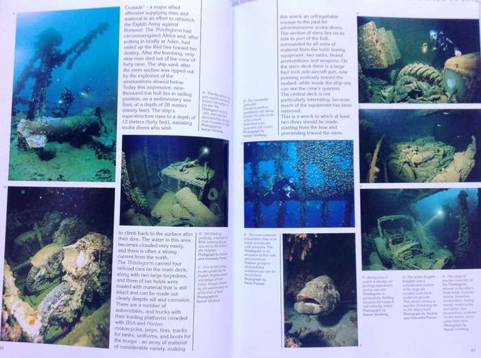 Red Sea Diving Guide - Andrea Ghisotti & Alessandro Carletti & Hanan Golombek