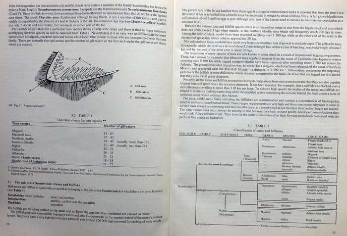 The Tunas and Billfishes of Southern Africa - CJ Molteno MA PhD and FR Riley MA