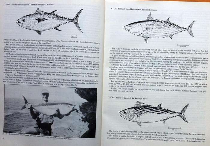 The Tunas and Billfishes of Southern Africa - CJ Molteno MA PhD and FR Riley MA