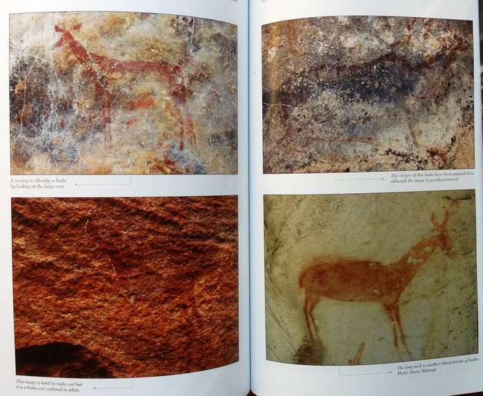 Bushman Rock Art - Forrsman and Gutteridge