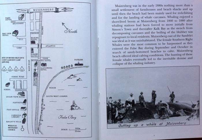 Muizenberg - The Golden Years - Michael Walker