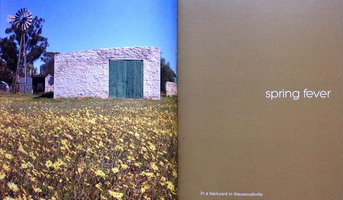 The Climax Collection - the secret life of windmills - Max and Sue Hoppe  Book signed