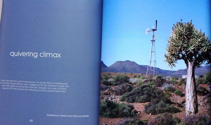 The Climax Collection - the secret life of windmills - Max and Sue Hoppe  Book signed