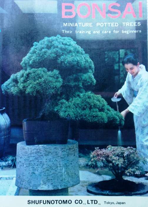 BONSAI Miniature Potted Trees by Kyuzo Murata