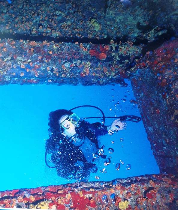 Diving with Sharks...and other Adventure Dives - Jack Jackson