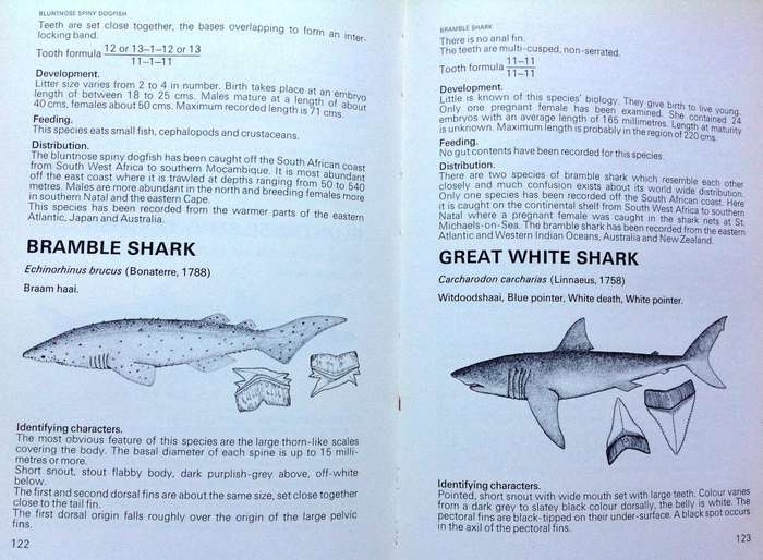 Shark Attack and treatment of Victims in Southern African waters - Tim Wallett - Hardcover
