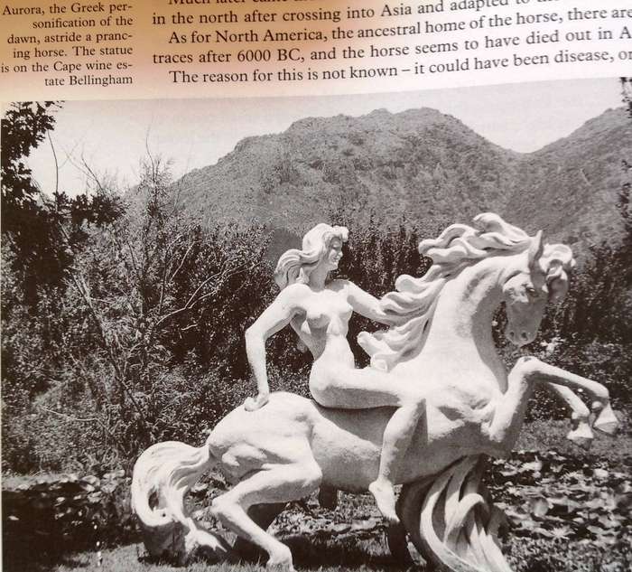 To Horse and Away - Jose Burman - Hardcover