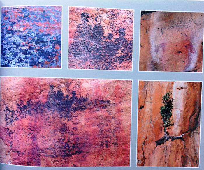 Cederberg Rock Engravings...Follow the San...John Parkington