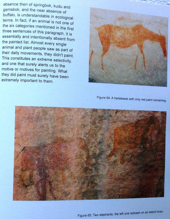 Cederberg Rock Engravings...Follow the San...John Parkington