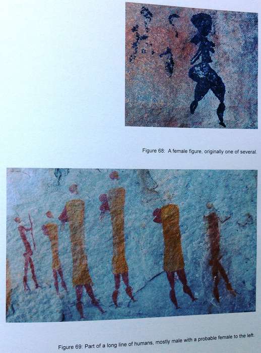 Cederberg Rock Engravings...Follow the San...John Parkington
