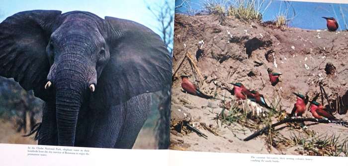 Zambezi South - John Sinclair - Hardcover - Book signed by Author - book 3 of 3-book series