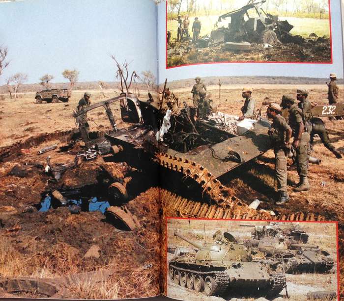 The War for Africa - Fred Bridgland - Hardcover       Twelve Months That Transformed A Continent