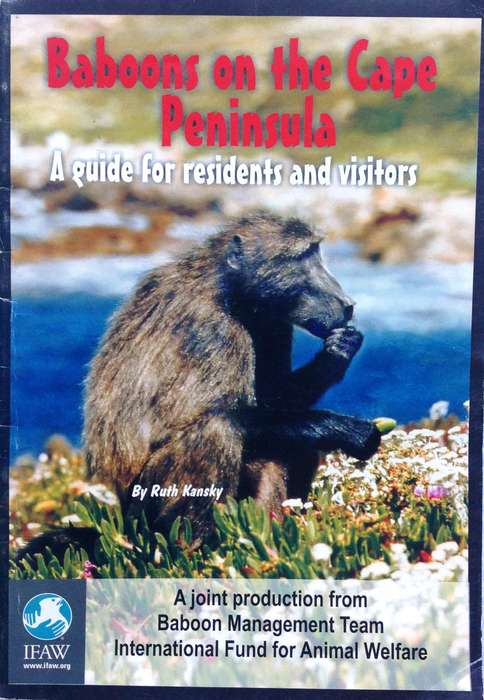 Baboons on the Cape Peninsula - Ruth Kansky