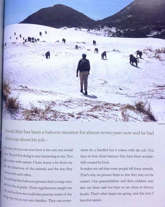Beast or Blessing - Jenni Trethowan       Stories and images about living with Baboons in Africa