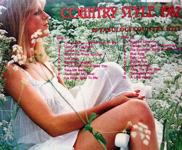 Springbok Country Style 1982 - Long Playing Vinyl - 20 Fabulous Country Hits  MW 70055