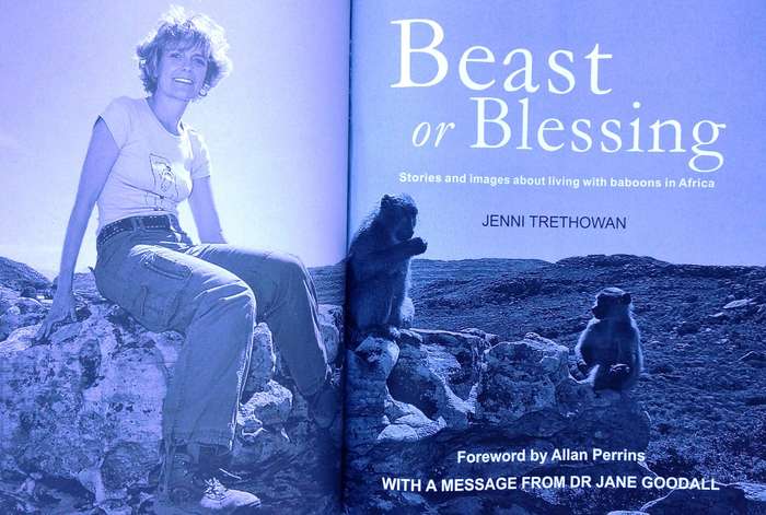 Beast or Blessing - Jenni Trethowan       Stories and images about living with Baboons in Africa