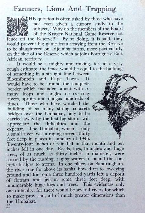 The Call of the Bushveld - A C White - Hardcover