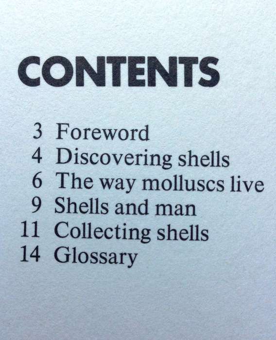 Sea Shells - How to Identify and Collect them - Translated from Italian by Sergio Angeletti