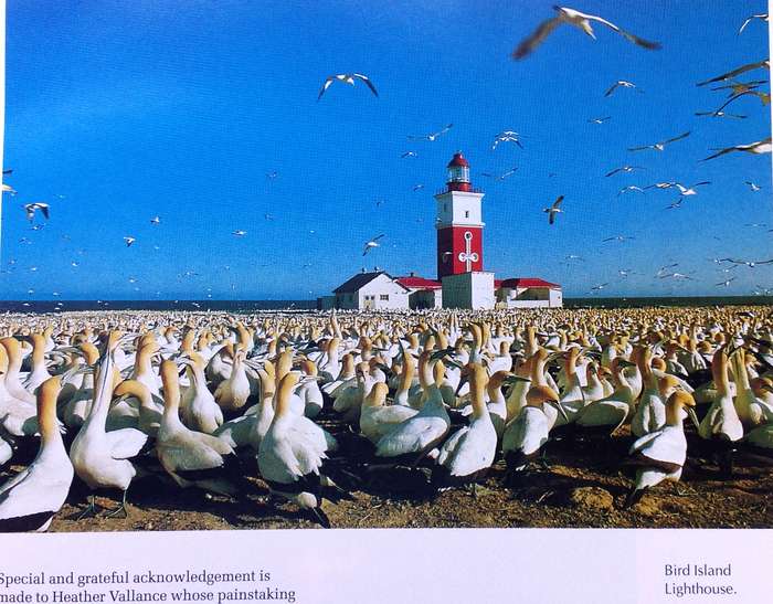 Southern Lights - Lighthouses of Southern Africa - Harold Williams - Hardcover