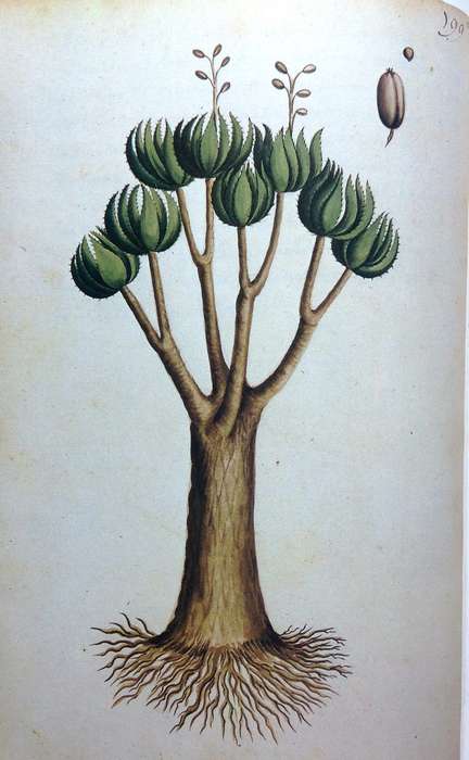 Simon van der Stel's Journey to Namaqualand 1685 - Hardcover - Large beautiful historical book