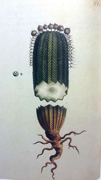 Simon van der Stel's Journey to Namaqualand 1685 - Hardcover - Large beautiful historical book