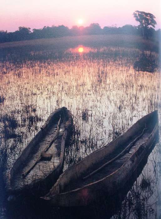 SAFARI - A Chronicle of Adventure - Bartle Bull - Hardcover