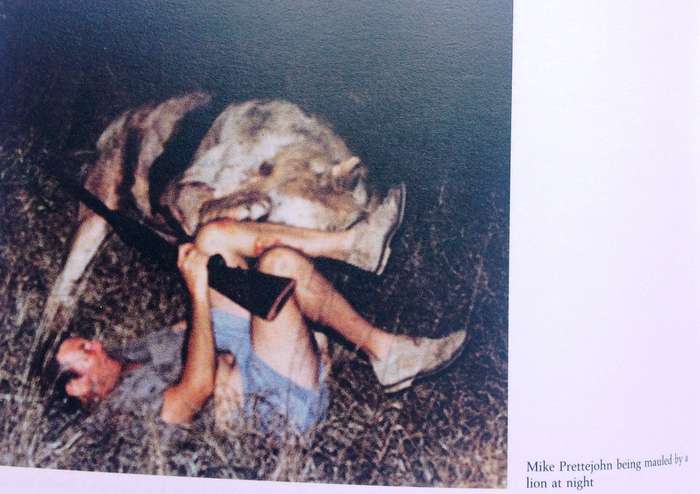 SAFARI - A Chronicle of Adventure - Bartle Bull - Hardcover