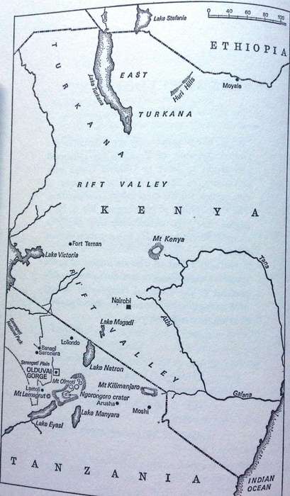 Olduvai Gorge - Mary Leakey - Hardcover     My Search for Early Man