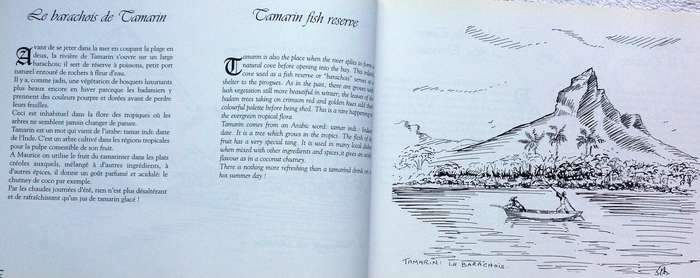 Mauritius in Pen and Ink - L'ile Maurice a la Plume - Paule-Marie Bolton et Clifford Bolton - signed