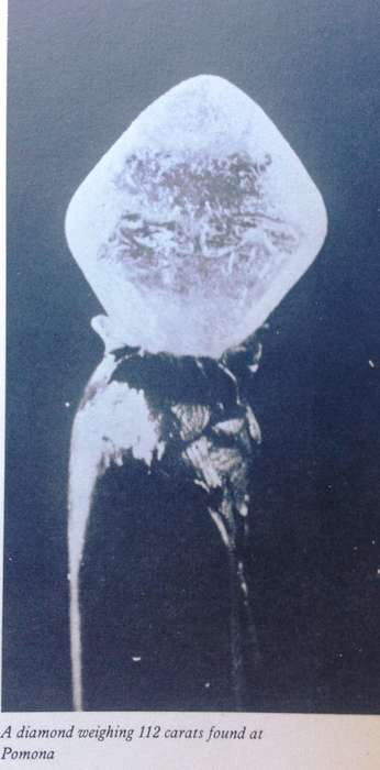 Diamonds in the Desert - Olga Levinson - Hardcover    The Story of August Stauch and His Times