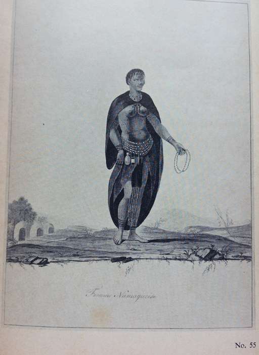 Francois Le Vaillant Collection - Versameling - SA National Gallery - Afrikaans en Engels