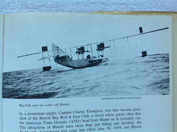 Flying Daredevils of the Roaring Twenties - Barnstormers - Don Dwiggins - Hardcover
