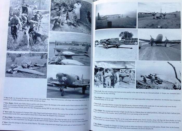 A Pride of Eagles - Beryl Salt - Hardcover