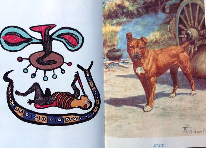 Book Collecting in South Africa - Grant Christison - Hardcover  Book signed by Author  Ltd Edition