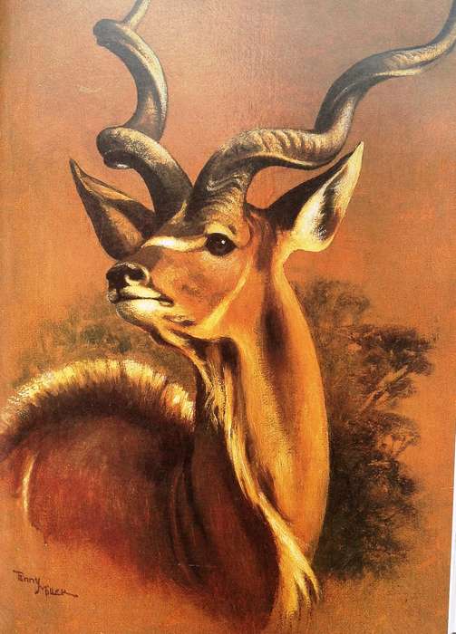 The Conservationists and the Killers - John A Pringle - Hardcover - Book signed by Author