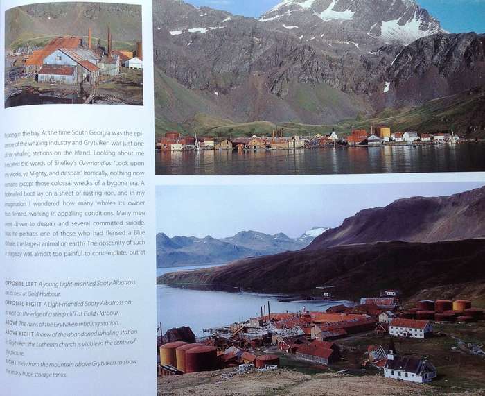 Antarctic Impressions - Seasons in the Southern Ocean - Peter Steyn - Hardcover