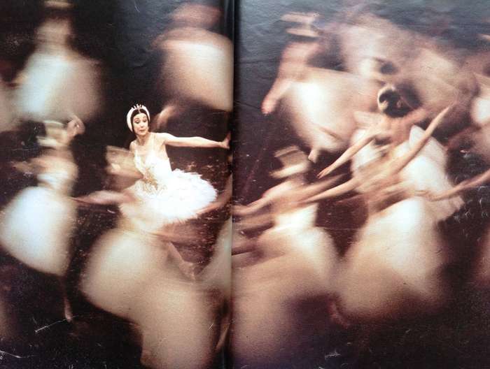 The Best of Fair Lady 1965 - 1975