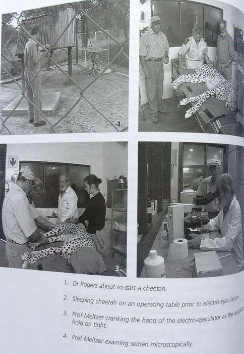 Tales of an African Vet - Roy Aronson  Book signed by Author