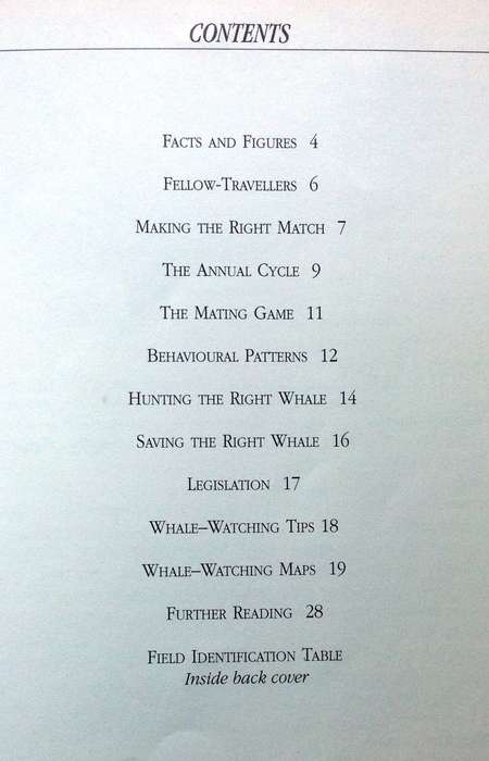 Whale watching in South Africa - Peter B Best - Illustrations by Noel Ashton