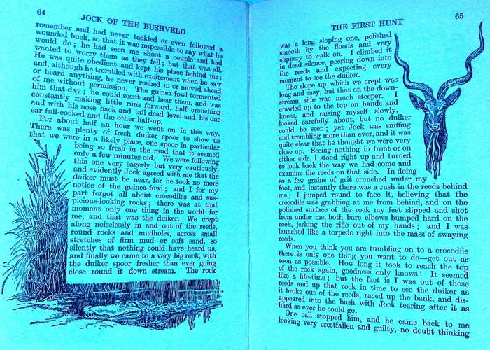 Jock of the Bushveld - Sir Percy Fitzpatrick - Hardcover