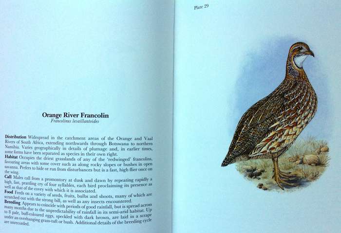 Gamebirds and Waterfowl of Southern Africa  A collection of 68 water-colours by C G Finch-Davies