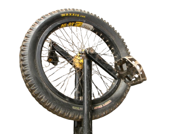 JLXJ Large 20" Unicycle, Adults Big Kids Beginner One Wheel Balancing Bike