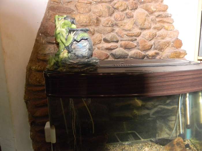 Aquarium Fish Tank With Stand