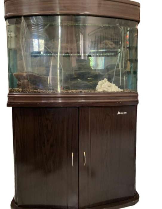 Aquarium Fish Tank With Stand