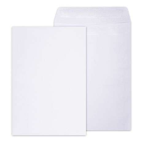 Leo C4 Envelopes (Pack of 250 White)