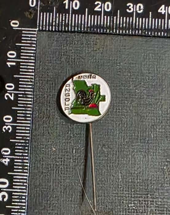 UNITA Membership Pin