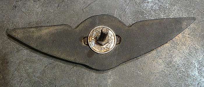 PORTUGUESE VINTAGE TAP AIRLINES  PILOTS WING BUMPER BADGE