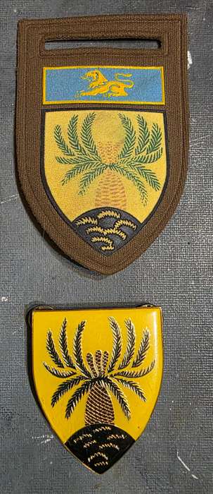 SADF 4 SAI ORIGINAL BLAZER ARTWORK & BADGES