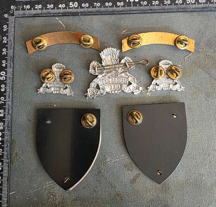 SADF SSB BADGE SET